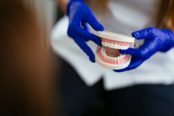 Why Choose Us for Your Dental Needs in Essex, IL